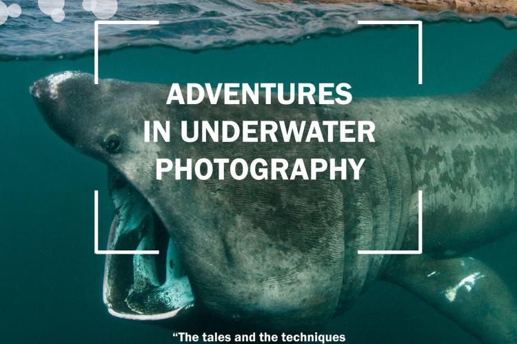 National Marine Aquarium, Alex Mustard, underwater photos, XRay Mag, Roz Lunn, underwater images, Plymouth