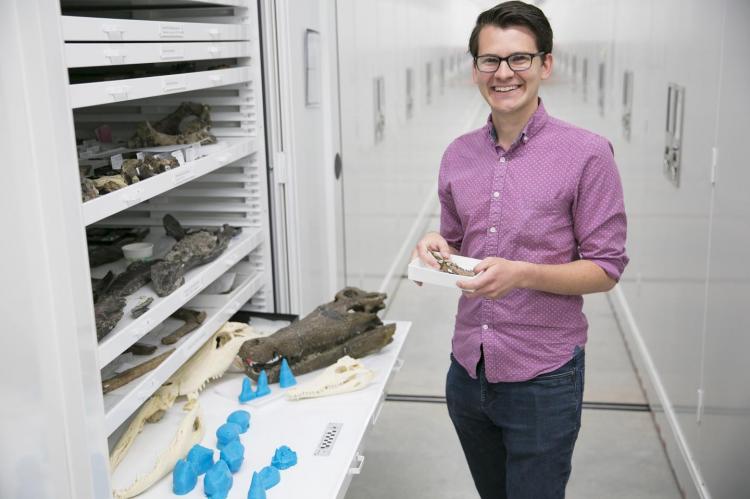 Lead author Keegan Melstrom, with 3D prints of extinct crocodyliform teeth (blue), a skull of an extinct crocodyliform, and skulls of living representatives of this group.