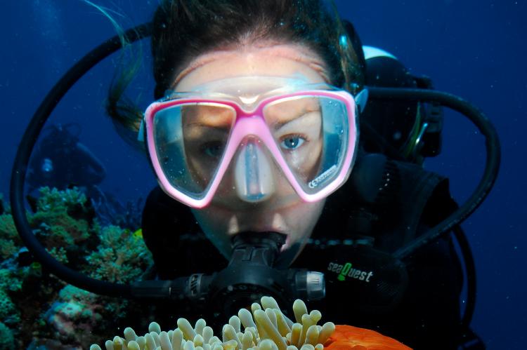 A high proportion of recreational divers may experience dental symptoms during a dive.