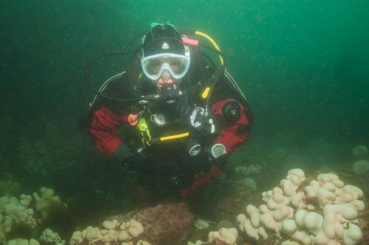 Caroline Sampson, Martin Sampson, Anglesey Divers, Rosemary Lunn, Roz Lunn, XRay Magazine, X-Ray Mag, SITA, scuba diving news, Anglesey, North Wales Diving