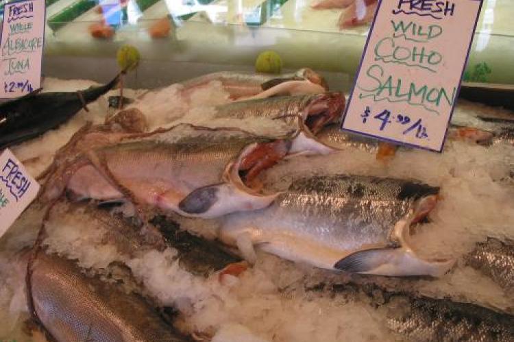 Where does the mercury in seafood come from? (filephoto)