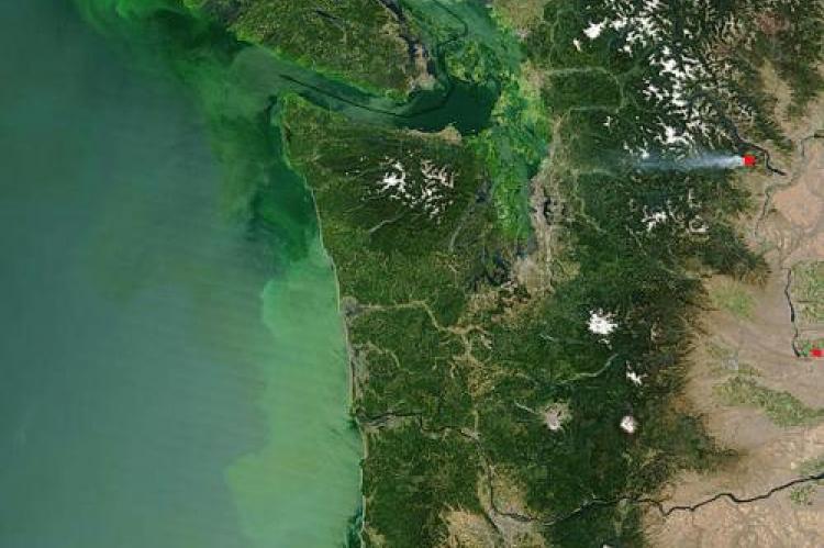 muddy green cloud floats in the Pacific Ocean off the coast of Washington and Oregon in this Moderate Resolution Imaging Spectroradiometer (MODIS) image, taken on July 23, 2004, by the Terra satellite.