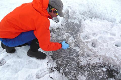 Study co-author Nathan Chrismas collecting surface ice for analysis.