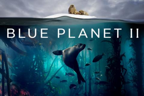 Blue Planet II, X-Ray Mag, XRay Magazine, Rosemary E Lunn, National Television Impact Award, plastic oceans, plastic pollution
