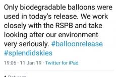 Birches Green Infant School, Splendid Skies, Balloon Release, 11 January 2019, sky littering, don't let go, balloons blow, Rosemary E Lunn, Roz Lunn, X-Ray Mag, XRay Magazine, environment, RSPB 