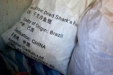 A bag of shark fins in China shows that it contains the fins of Brazil's sharks
