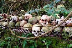 The altar of skulls