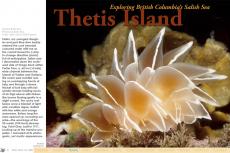 Article: Thetis Island, with text by Barb Roy and photos by Barb Roy and Andy Lamb, X-Ray Mag issue #26